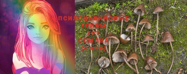 тгк Баксан