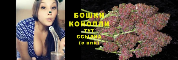 тгк Баксан