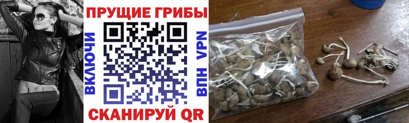 даркнет сайт  Югорск  Псилоцибиновые грибы ЛСД 